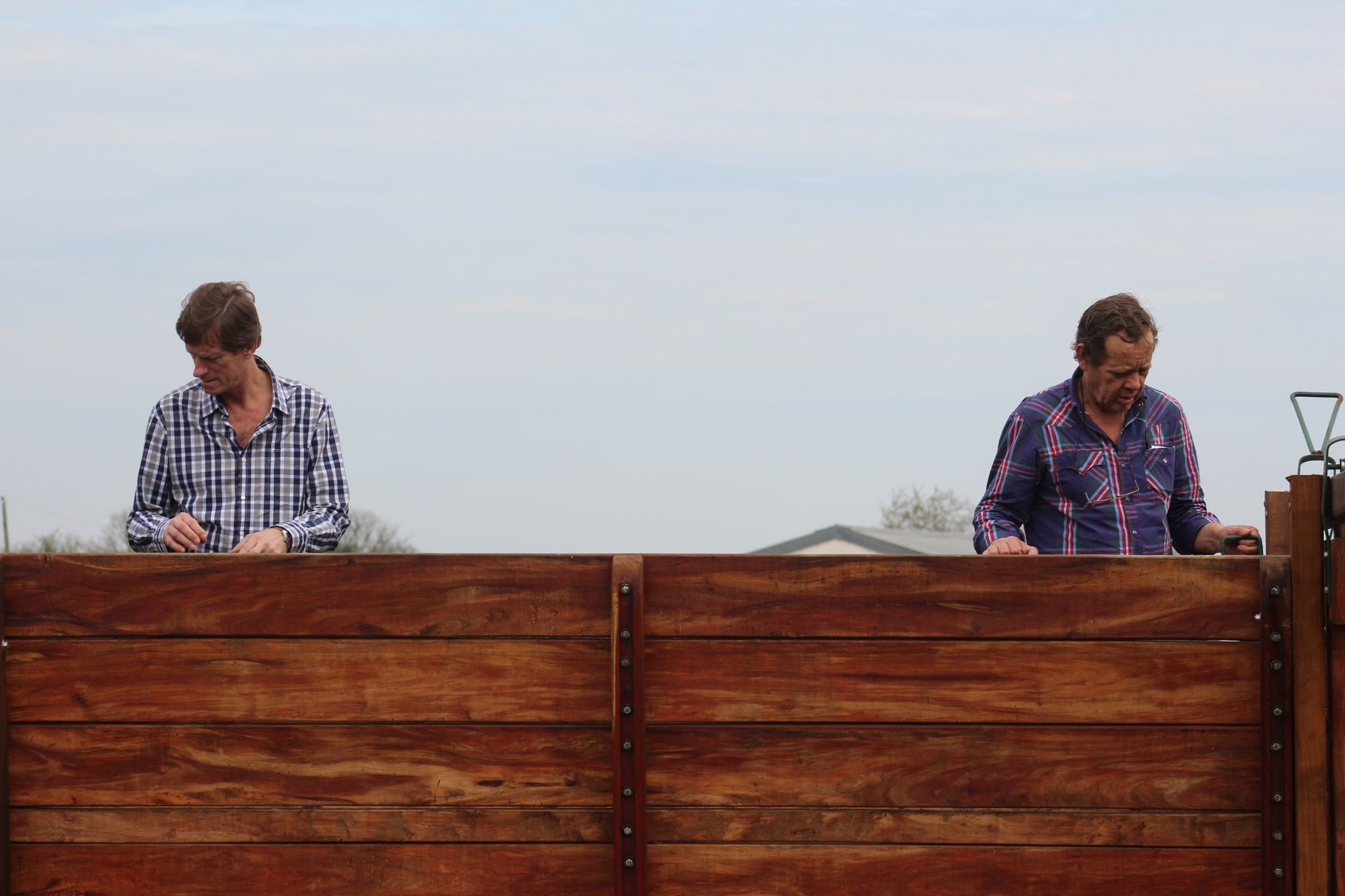 Two men working together at the cattle yards